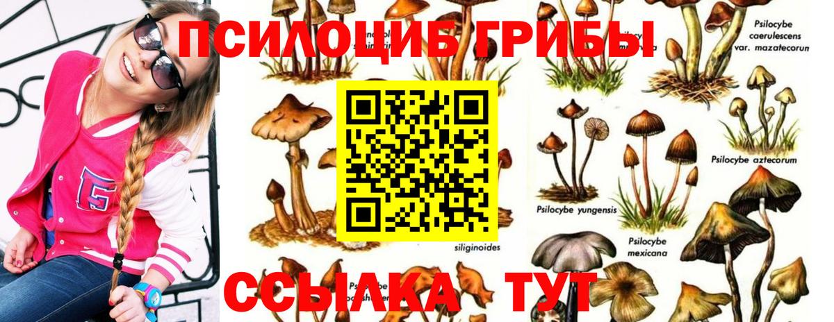 Галлюциногенные грибы MAGIC MUSHROOMS  Вход с VPN  Рыбинск  Галлюциногенные грибы ЛСД 