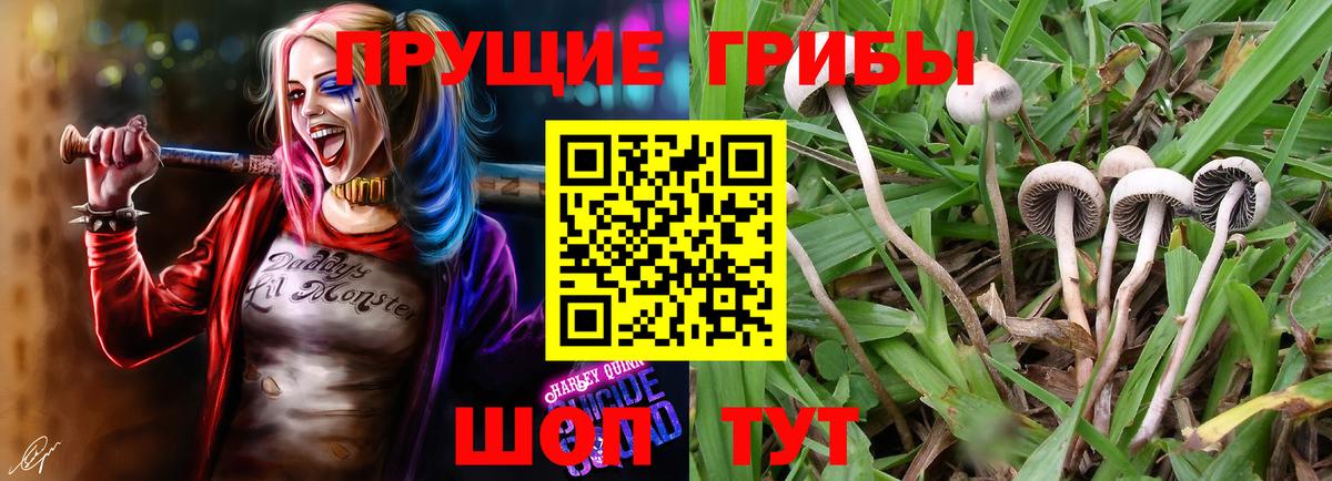 Псилоцибиновые грибы мухоморы Рыбинск